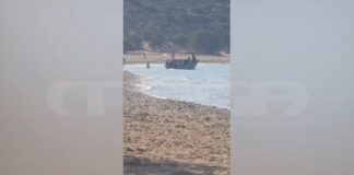 gaudos.jpg