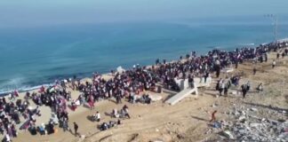 gaza 5.jpg