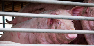 iStock 1151096351.jpg