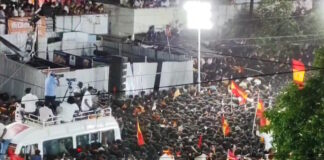 india podopatima stempede 1200x630.jpg