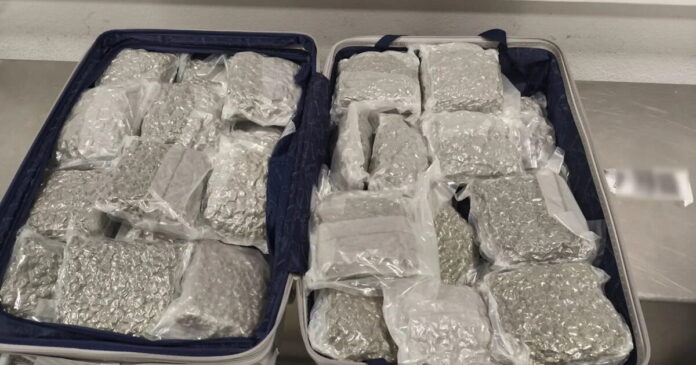 kanavi2 1200x630.jpeg