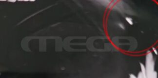 katadi.jpg