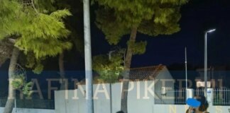 kolona hlektrismou artemida2.jpeg