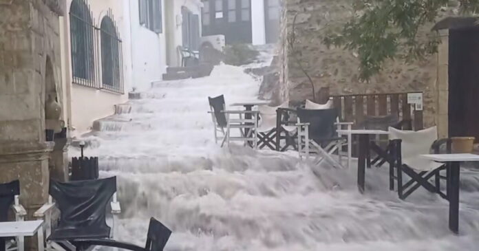 kriti plimmires 1200x630.jpg