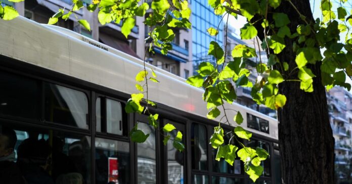 lewforeio 1200x630.jpg