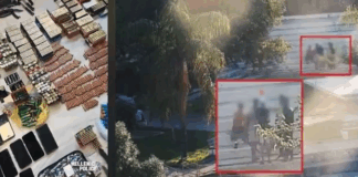 mafia9.png