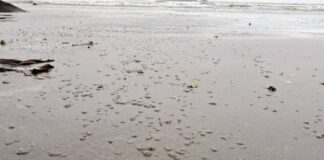 mar seco widelg 620x350.jpg