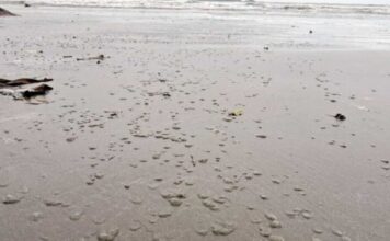 mar seco widelg 620x350.jpg