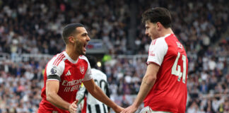 merino 1 1200x630.jpg