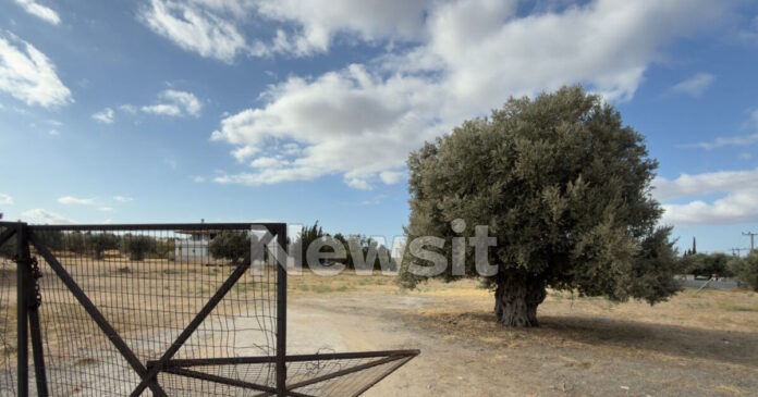 metamorfwsh sumplokh1 1 1200x630.jpg