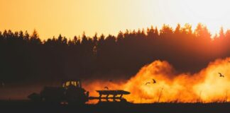 mika luoma sWlFUgrI 8c unsplash 620x350.jpg