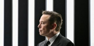 musk 1 1200x630.jpg