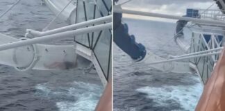 nerotsoulithra 1200x630.jpg