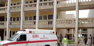 nigeria asthenoforo.jpg