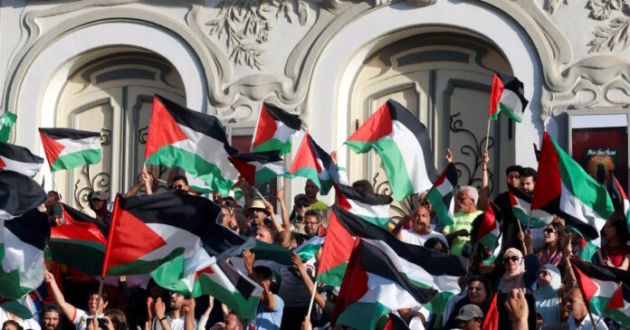 palestine r1 scaled 1 1200x630.jpg