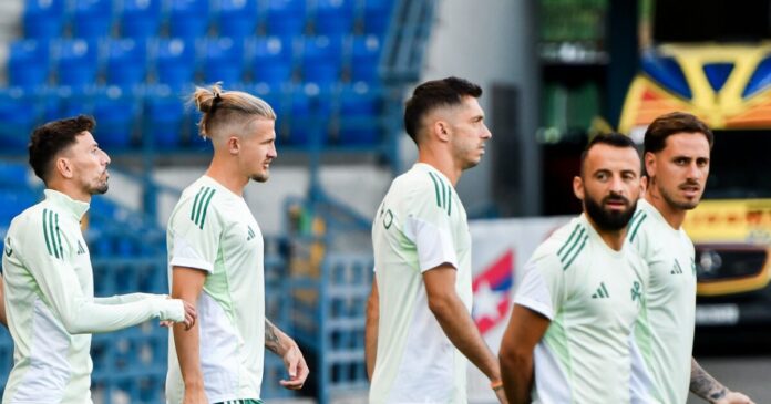 pao proponisi 1200x630.jpg