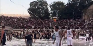 partizan paok opadoi grab 1200x630.jpg