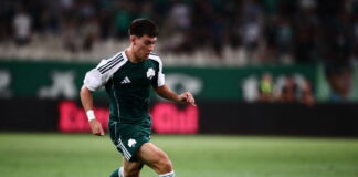 pellistri 1200x630.jpg