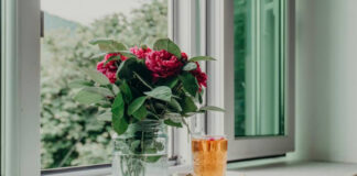 pexels zulfugarkarimov 33781421.jpg