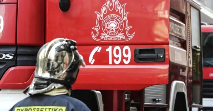 pirosvestiki eurok 11 1 1200x630.jpg