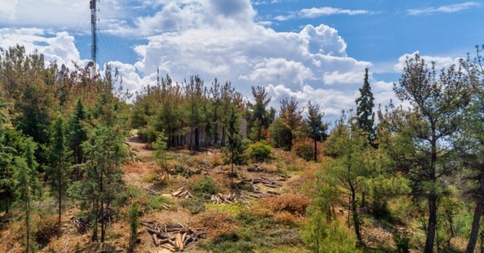 seix sou dasos eurok 1200x630.jpg