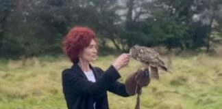 sharon osbourne 1200x630.jpg