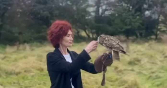 sharon osbourne 1200x630.jpg