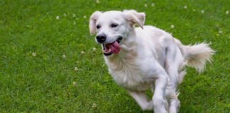 skilos 68bfdfebf2500.jpg