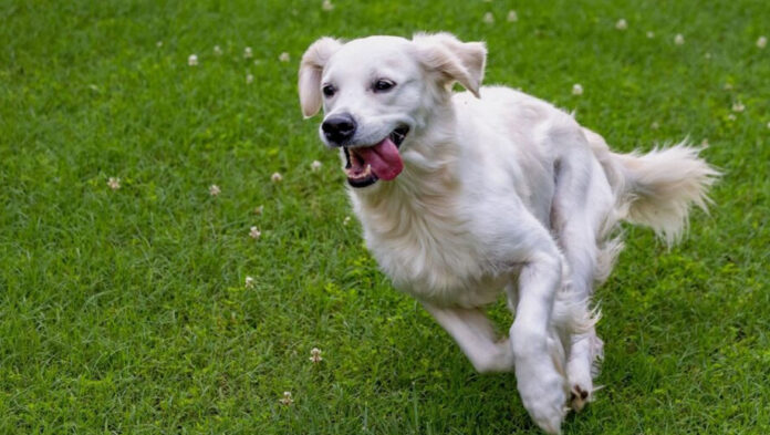 skilos 68bfdfebf2500.jpg