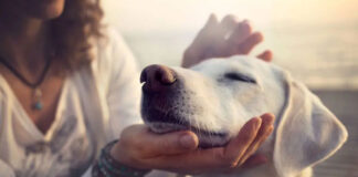 skilos 68db7db97dc03.jpg