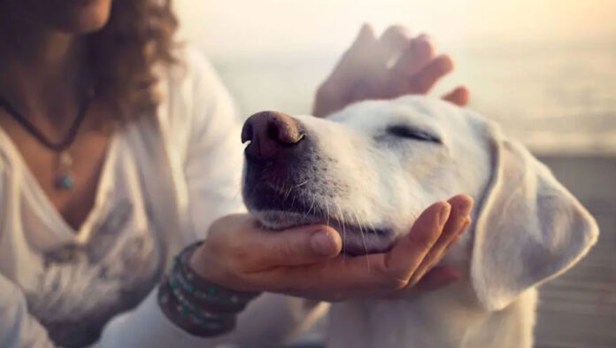 skilos 68db7db97dc03.jpg