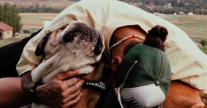 skylos xamilton facebook 1200x630.jpg