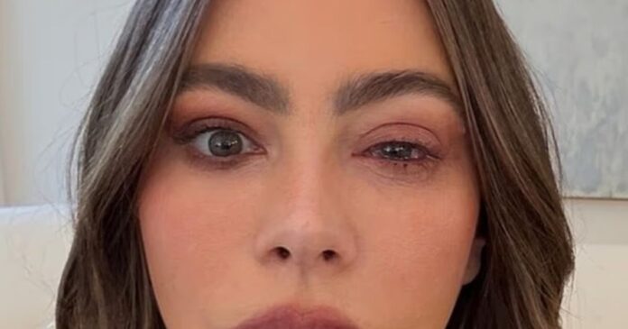 sofiavergara 1200x630.jpg