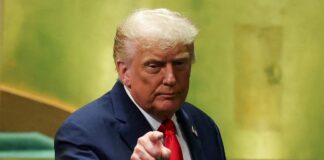 tramp 1 1200x630.jpg