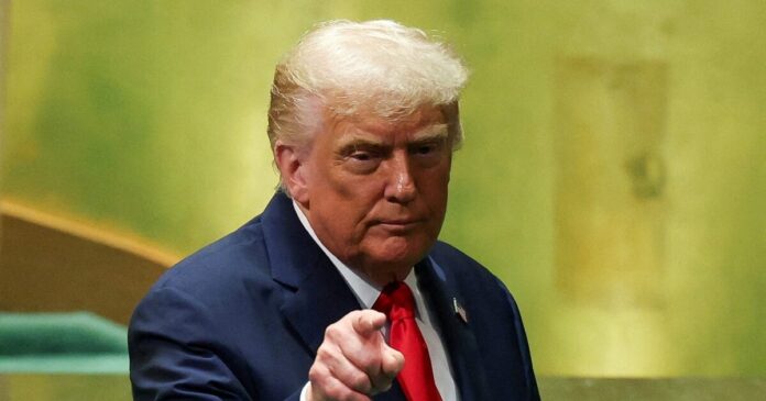 tramp 1 1200x630.jpg