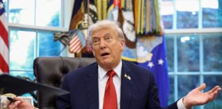 trump 12 1200x630.jpg