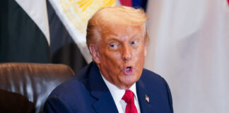 trump reuters 11 1 1200x630.jpg