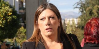zwh kwnstantopoulou ndp 1200x630.jpg