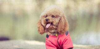 0279770960576eaed48e3bb432797c92 L.jpg