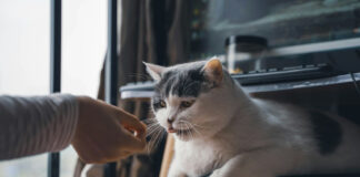 06ab282f5bc762d68045d9ef83815c34 L.jpg