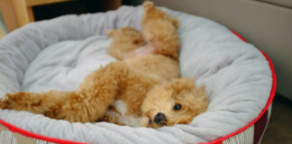 16a5a375b3e25e262511fc76a6029032 L.jpg