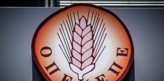 1761563154 opekepe 4 1200x630.jpg