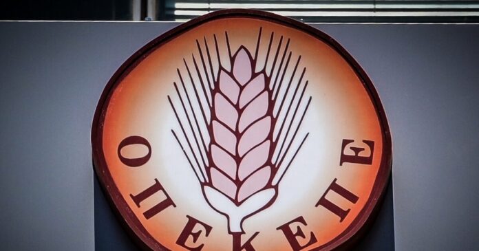 1761563154 opekepe 4 1200x630.jpg