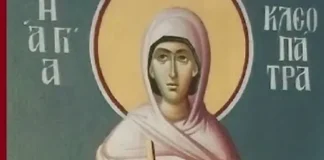 19 kleopatra martys 1 593x399 1.webp.webp