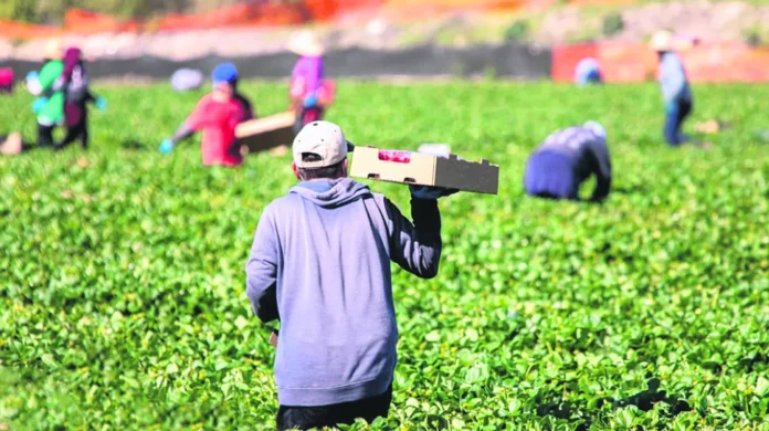 20 53 f3 20 platos jpg.webp.webp