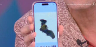 299eec7bb147dbf1b5da431c16b3f68c L.jpg