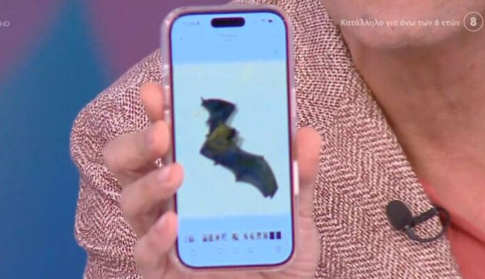 299eec7bb147dbf1b5da431c16b3f68c L.jpg