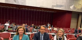 2cb8939a cfd9 470a 939d 216919b66753.webp.webp