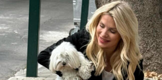 33c3d1cd2f5cb234b74481b4a98512b9 L.jpg