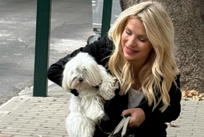 33c3d1cd2f5cb234b74481b4a98512b9 L.jpg